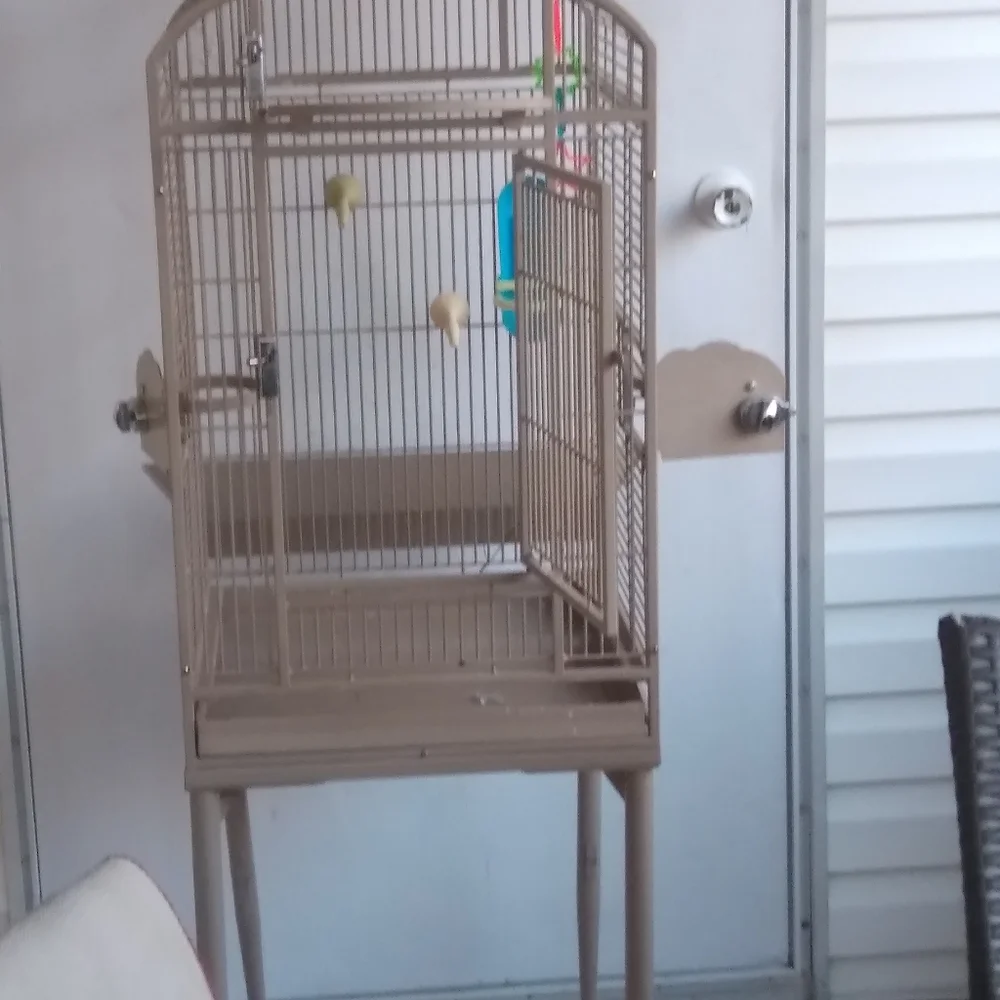 Bird cage home